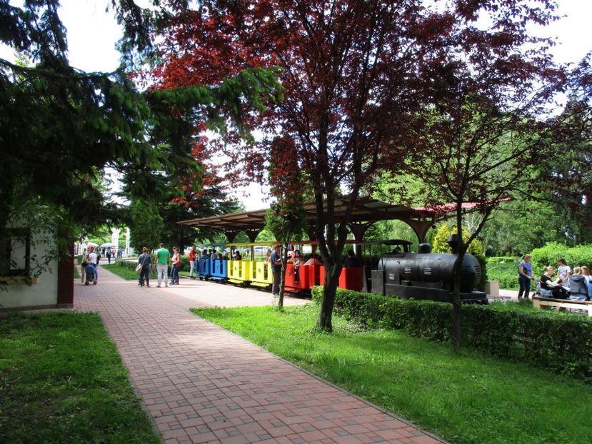  - 2017 - Pitești - 14 mai