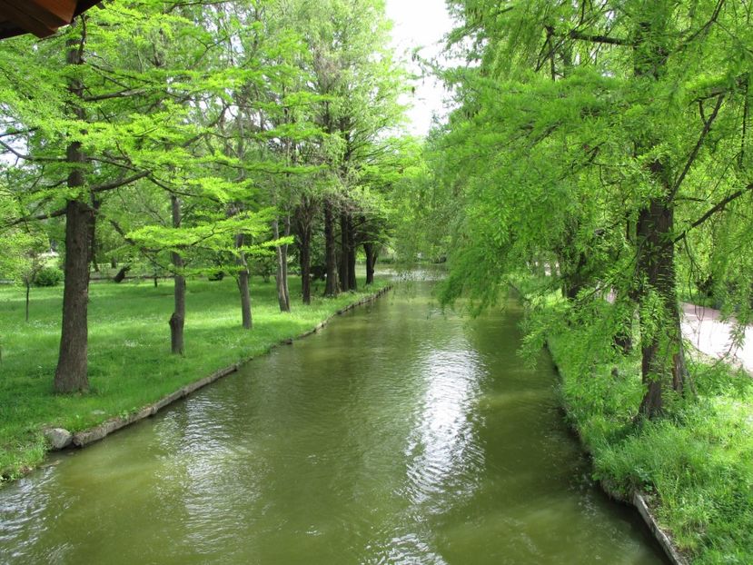  - 2017 - Pitești - 14 mai