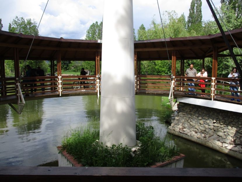  - 2017 - Pitești - 14 mai