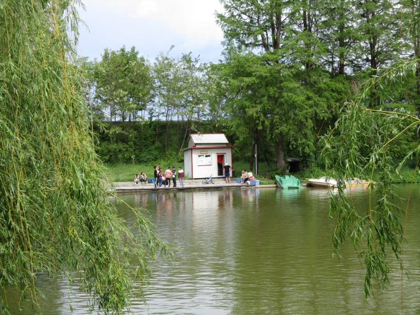  - 2017 - Pitești - 14 mai