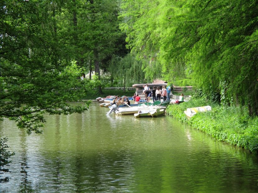  - 2017 - Pitești - 14 mai