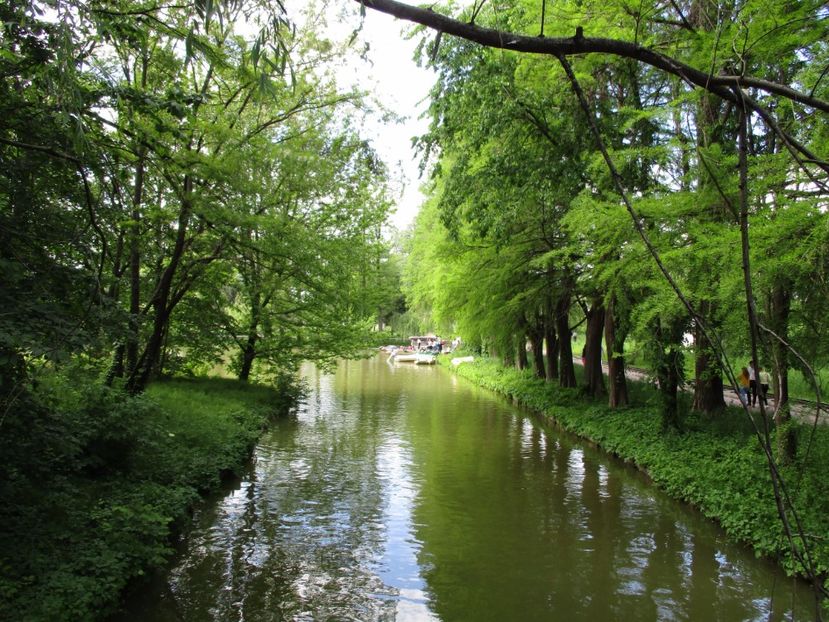  - 2017 - Pitești - 14 mai