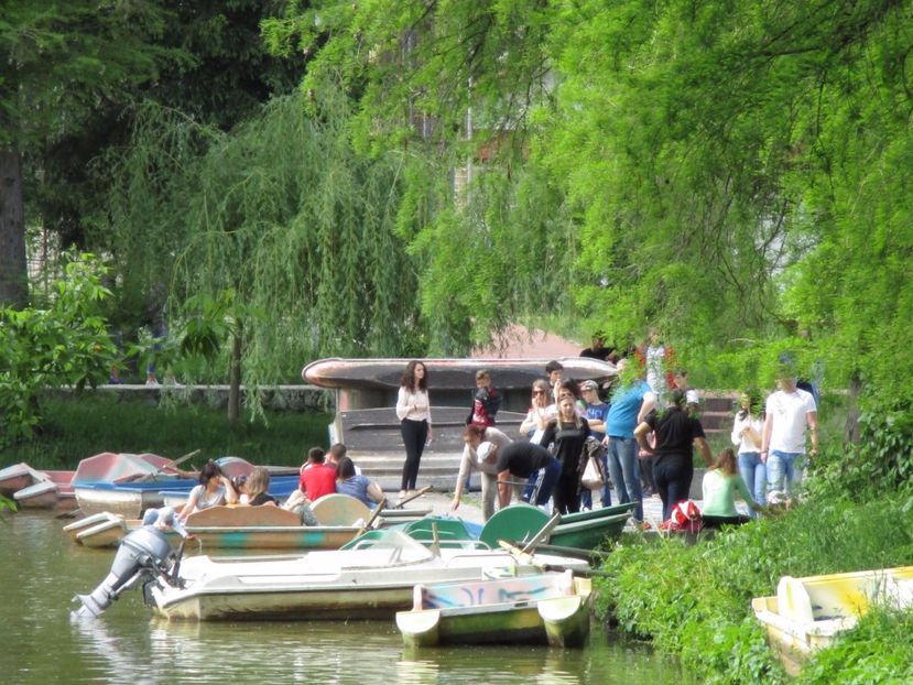  - 2017 - Pitești - 14 mai