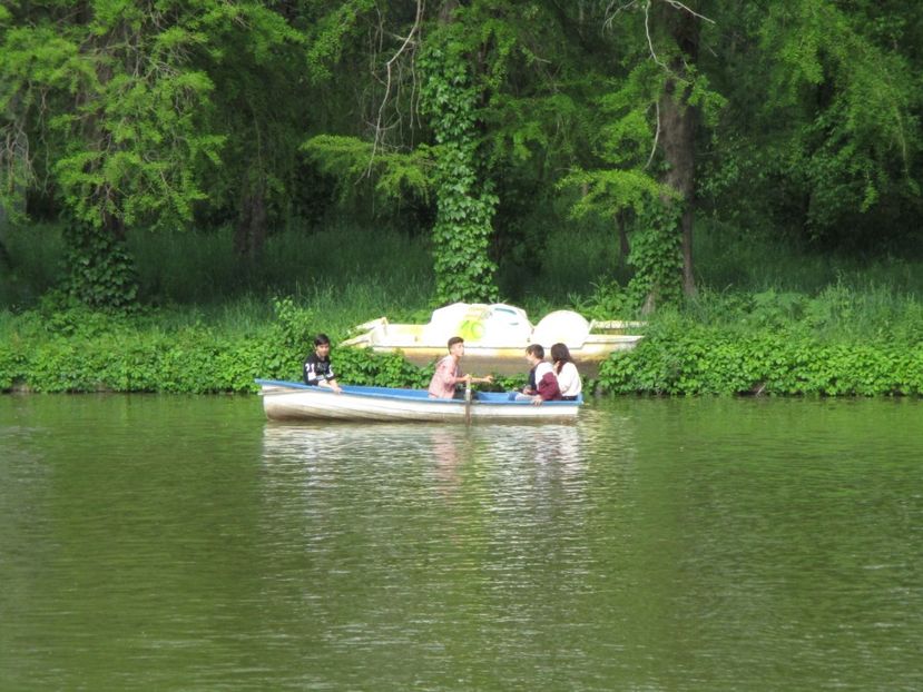  - 2017 - Pitești - 14 mai