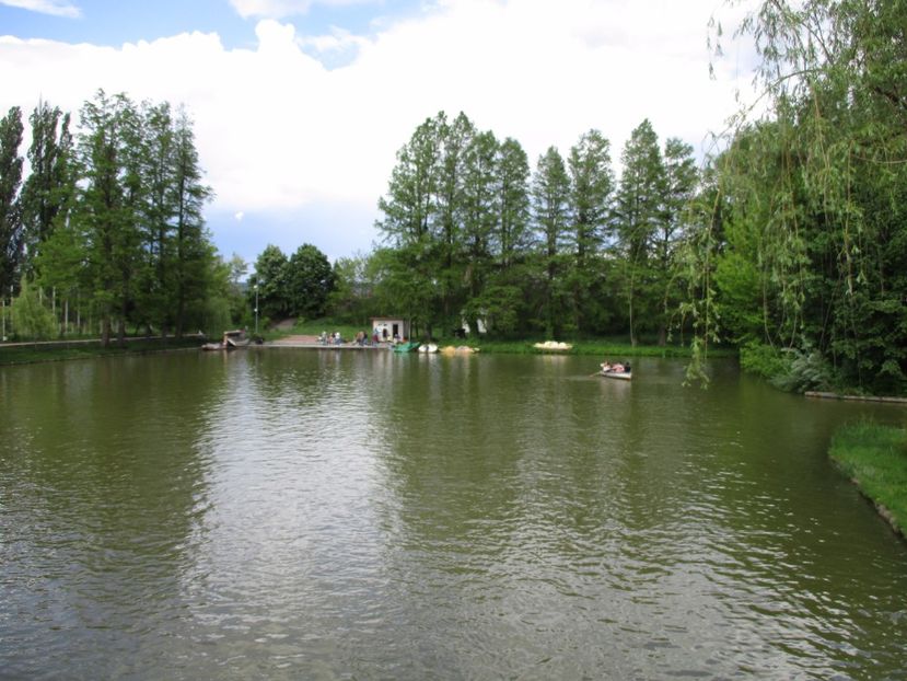  - 2017 - Pitești - 14 mai