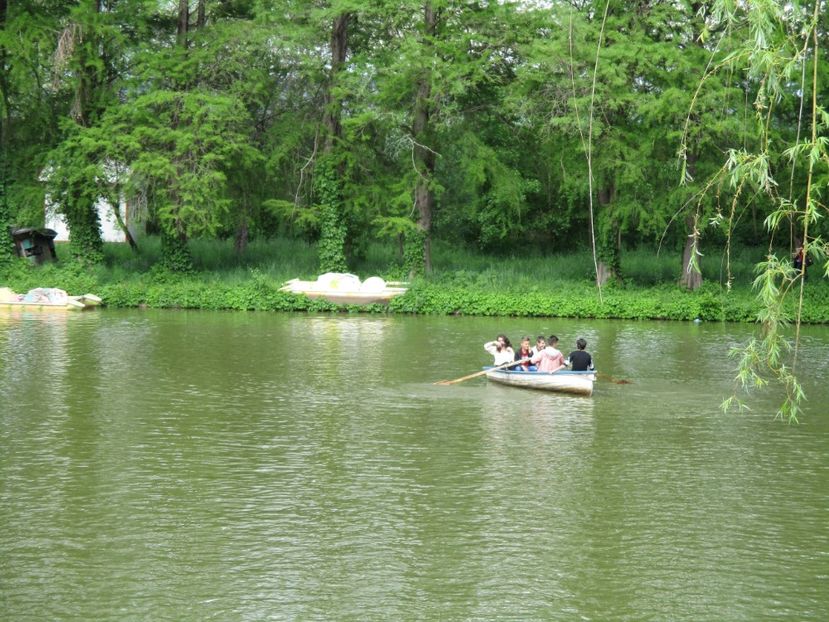  - 2017 - Pitești - 14 mai