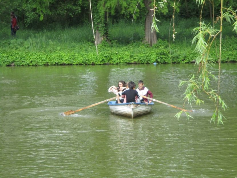  - 2017 - Pitești - 14 mai