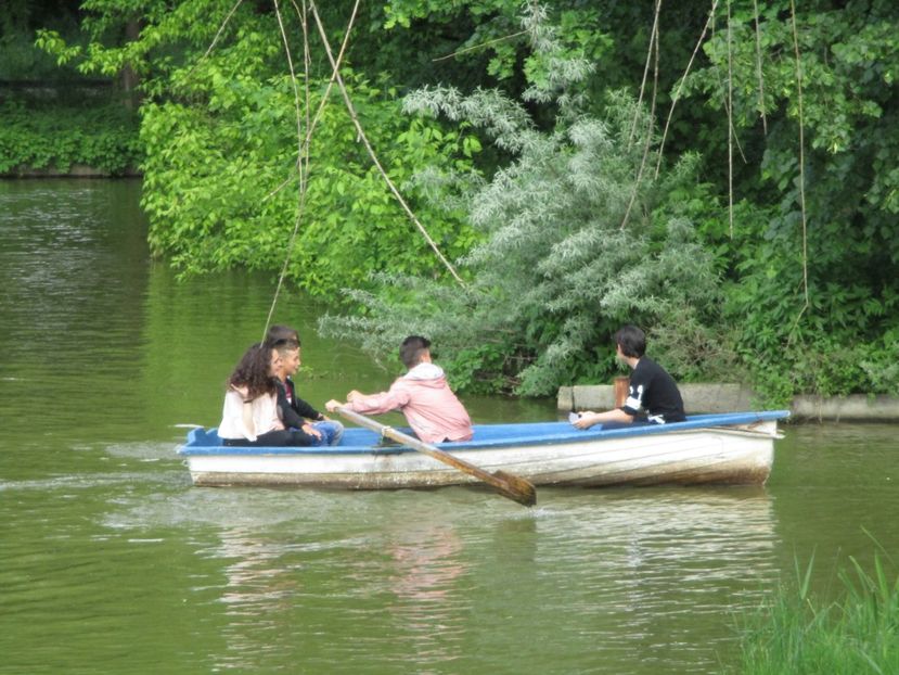  - 2017 - Pitești - 14 mai