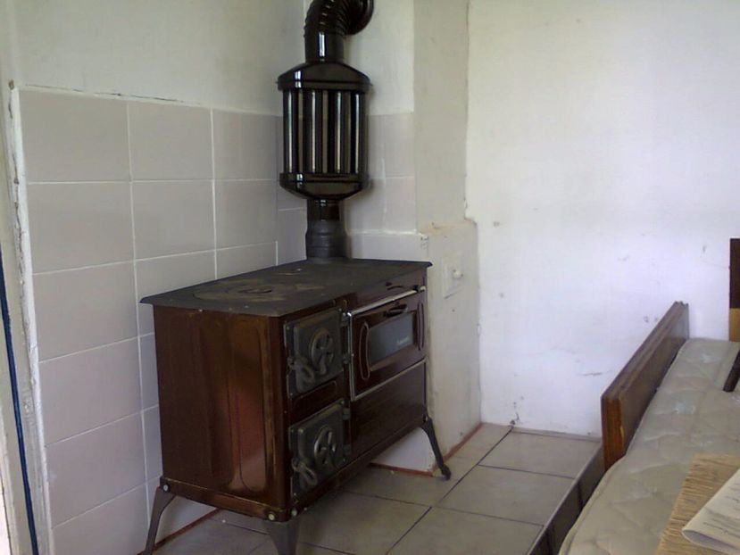 Fotografie2583 - 2017 RENOVARE CABANA DE LA GRADINA 2 - 17 mai