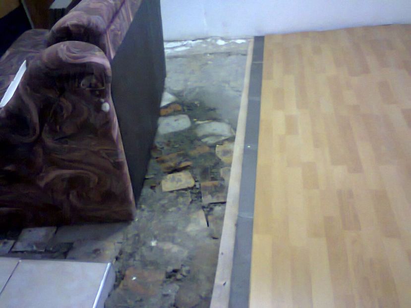 Sapa pentru nivelarea terenului - 2017 RENOVARE CABANA DE LA GRADINA 2 - 17 mai