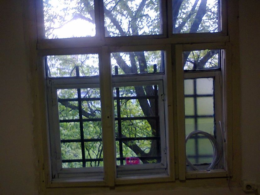 Fotografie2588 - 2017 RENOVARE CABANA DE LA GRADINA 2 - 17 mai