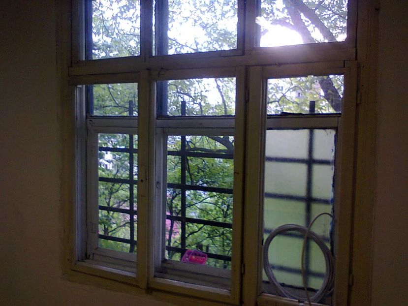 Fotografie2589 - 2017 RENOVARE CABANA DE LA GRADINA 2 - 17 mai