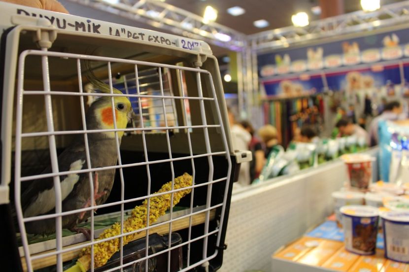  - 67 - CIUFY - la targul dedicat animalelor de companie - PetExpo 2017