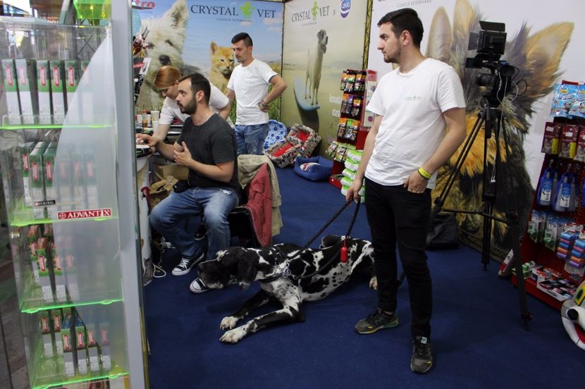  - 67 - CIUFY - la targul dedicat animalelor de companie - PetExpo 2017