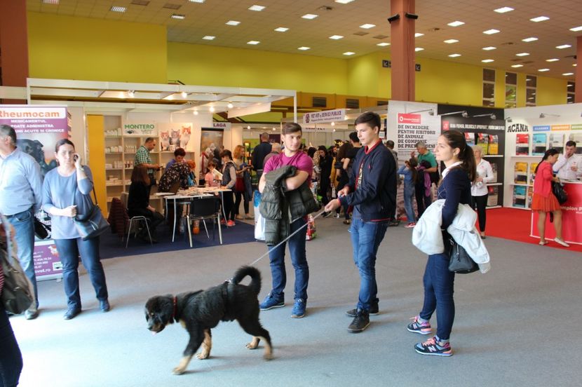  - 67 - CIUFY - la targul dedicat animalelor de companie - PetExpo 2017