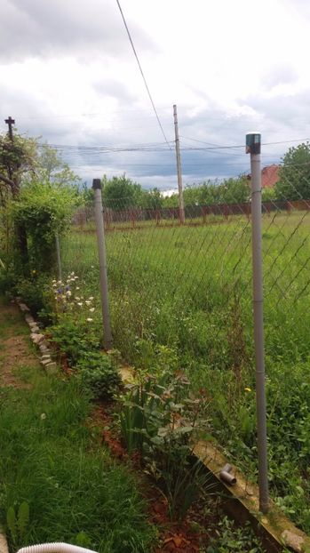  - De prin gradina 2017