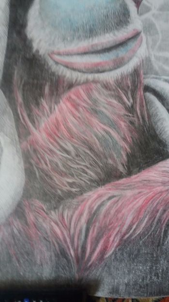  - Grafice in creion