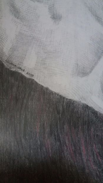  - Grafice in creion