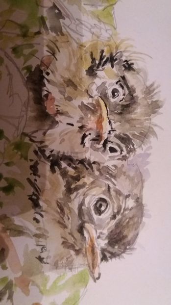  - Picturi in acuarela