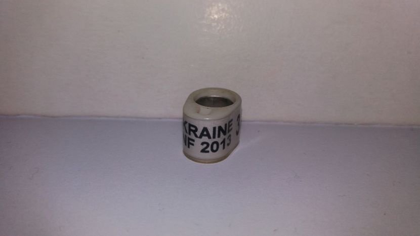  - Inele Ukraina - 18 piese