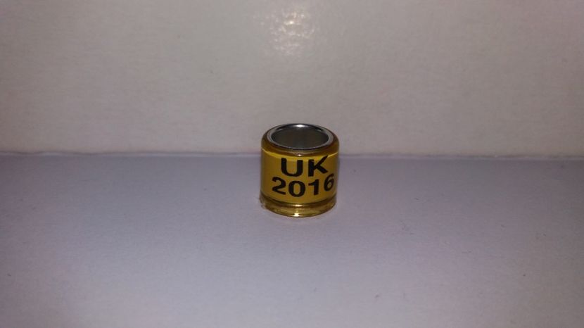 Neomologat /Fake - Inele Ukraina - 18 piese