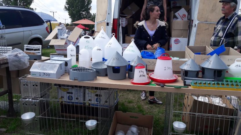  - TARG MONOR UNGARIA MAI 2017