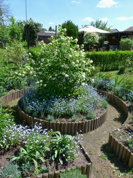 P2090199 - 2017 - 01 - Primavara