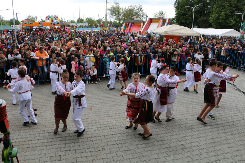  - Sarbatoarea salcamului Liesti 2017