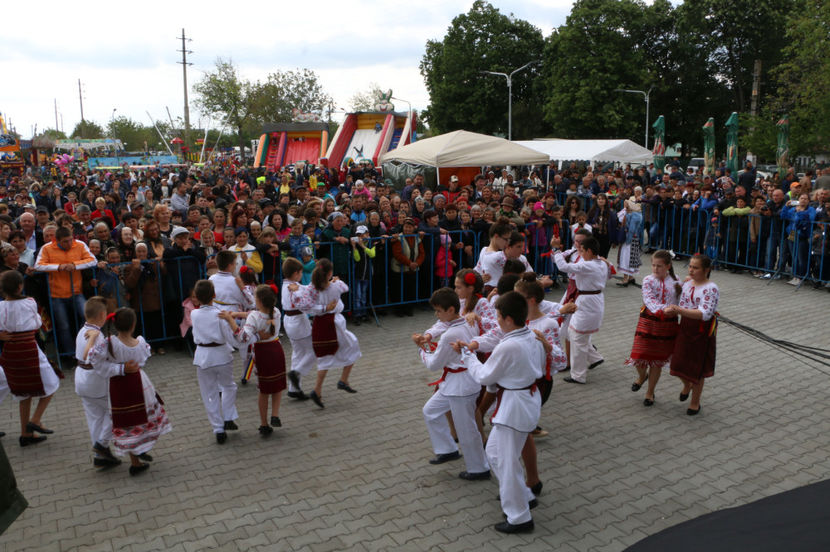  - Sarbatoarea salcamului Liesti 2017