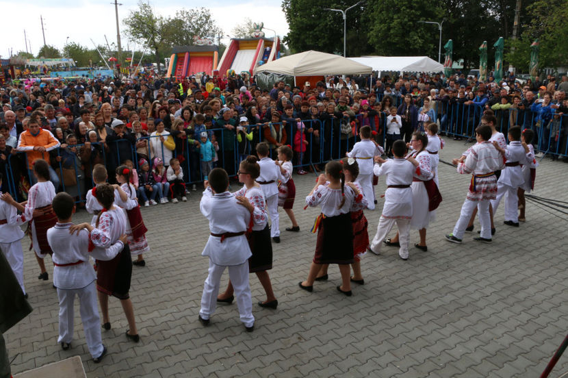  - Sarbatoarea salcamului Liesti 2017