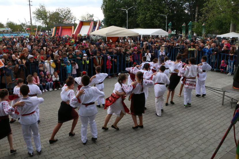  - Sarbatoarea salcamului Liesti 2017