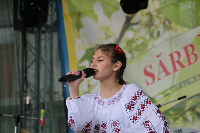  - Sarbatoarea salcamului Liesti 2017