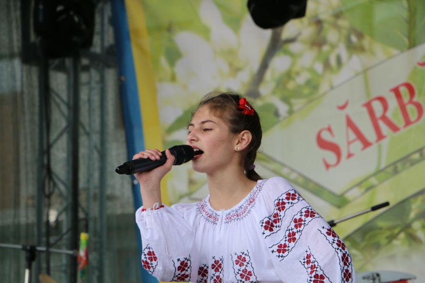  - Sarbatoarea salcamului Liesti 2017