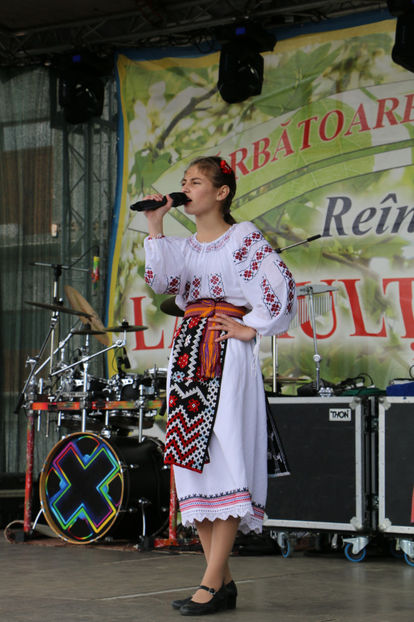  - Sarbatoarea salcamului Liesti 2017