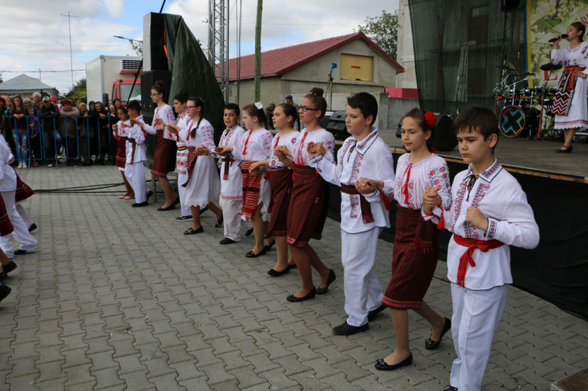  - Sarbatoarea salcamului Liesti 2017