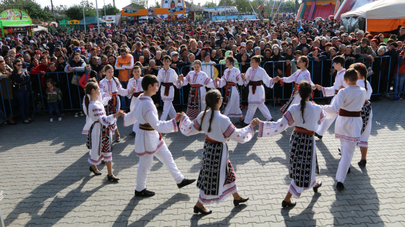  - Sarbatoarea salcamului Liesti 2017