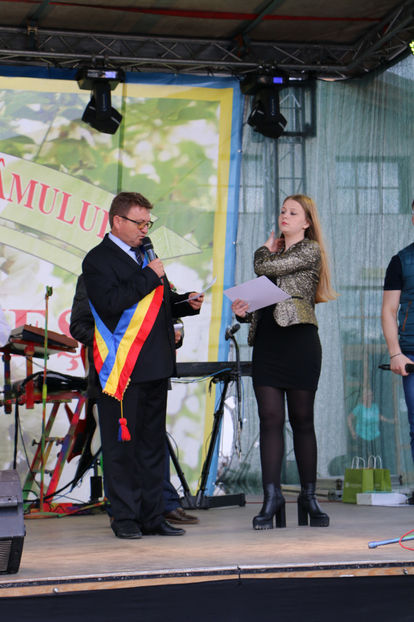  - Sarbatoarea salcamului Liesti 2017