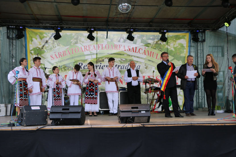  - Sarbatoarea salcamului Liesti 2017