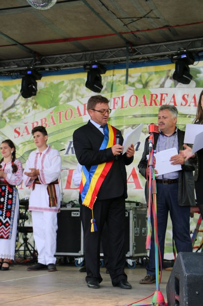  - Sarbatoarea salcamului Liesti 2017