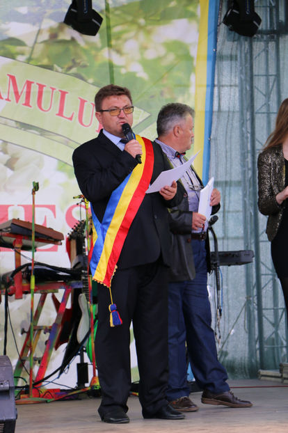  - Sarbatoarea salcamului Liesti 2017