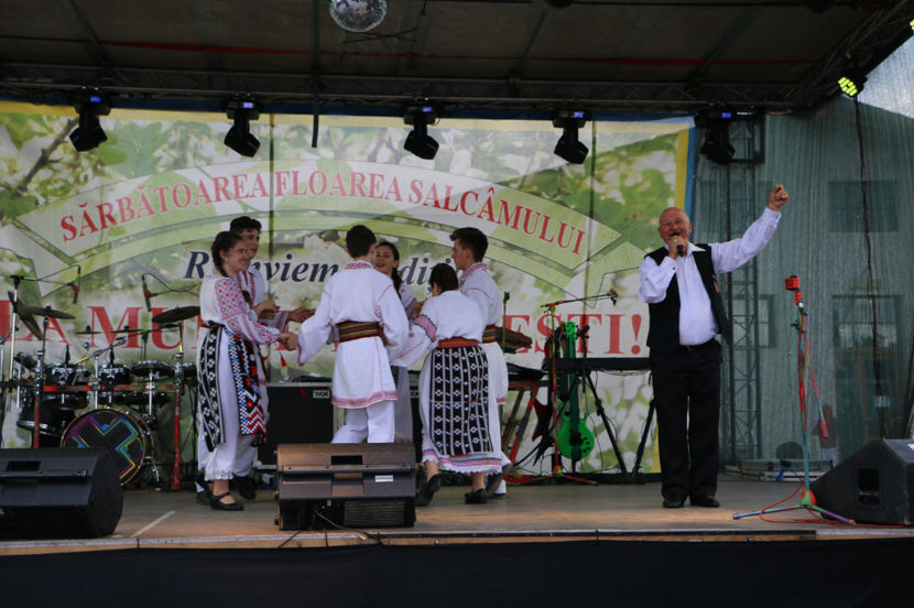  - Sarbatoarea salcamului Liesti 2017