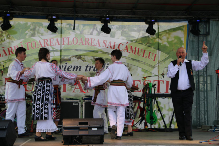  - Sarbatoarea salcamului Liesti 2017