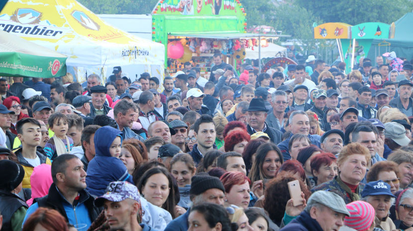  - Sarbatoarea salcamului Liesti 2017