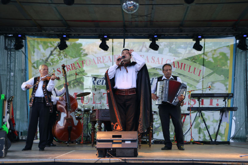  - Sarbatoarea salcamului Liesti 2017