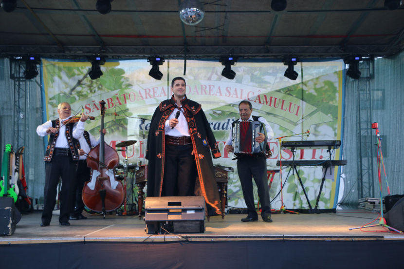  - Sarbatoarea salcamului Liesti 2017