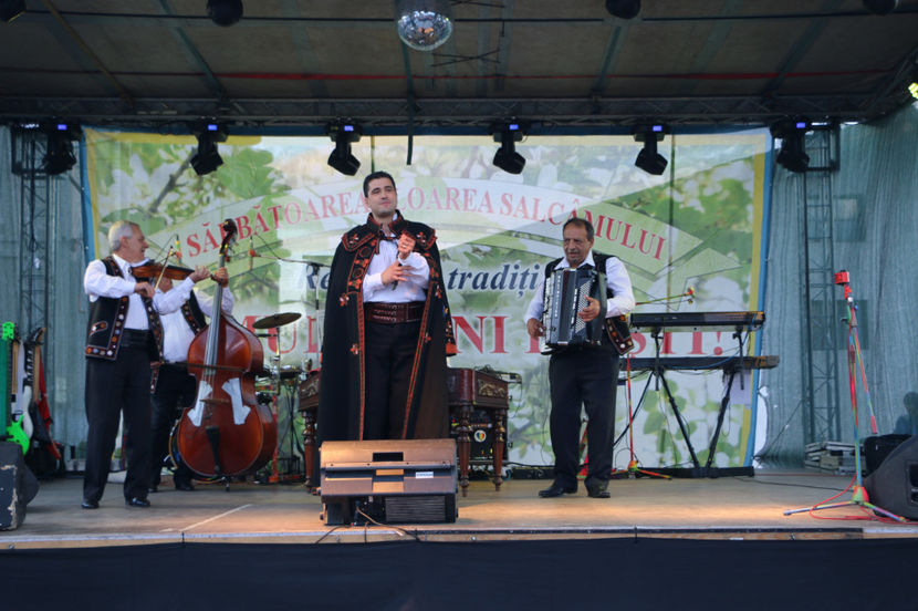  - Sarbatoarea salcamului Liesti 2017