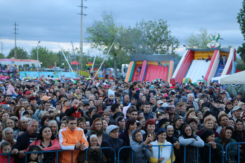  - Sarbatoarea salcamului Liesti 2017