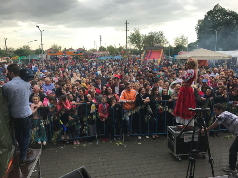  - Sarbatoarea salcamului Liesti 2017