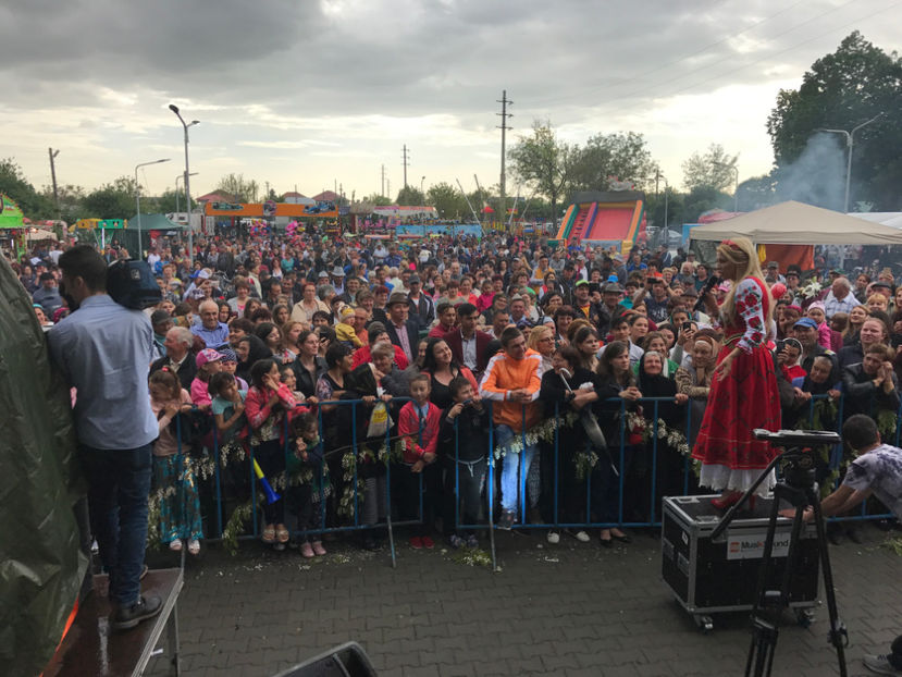  - Sarbatoarea salcamului Liesti 2017