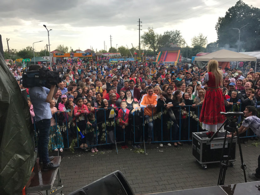  - Sarbatoarea salcamului Liesti 2017